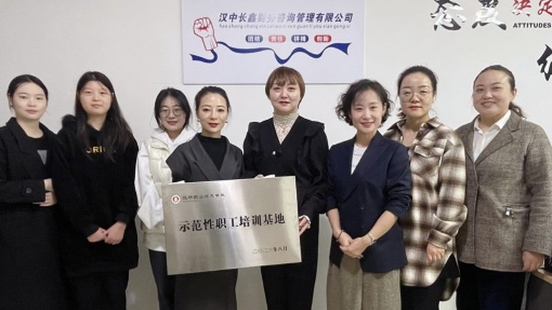集团企业管理咨询定制方案对比
