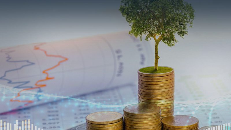 跨境并购尽职调查：供应商选择的五大关键考量